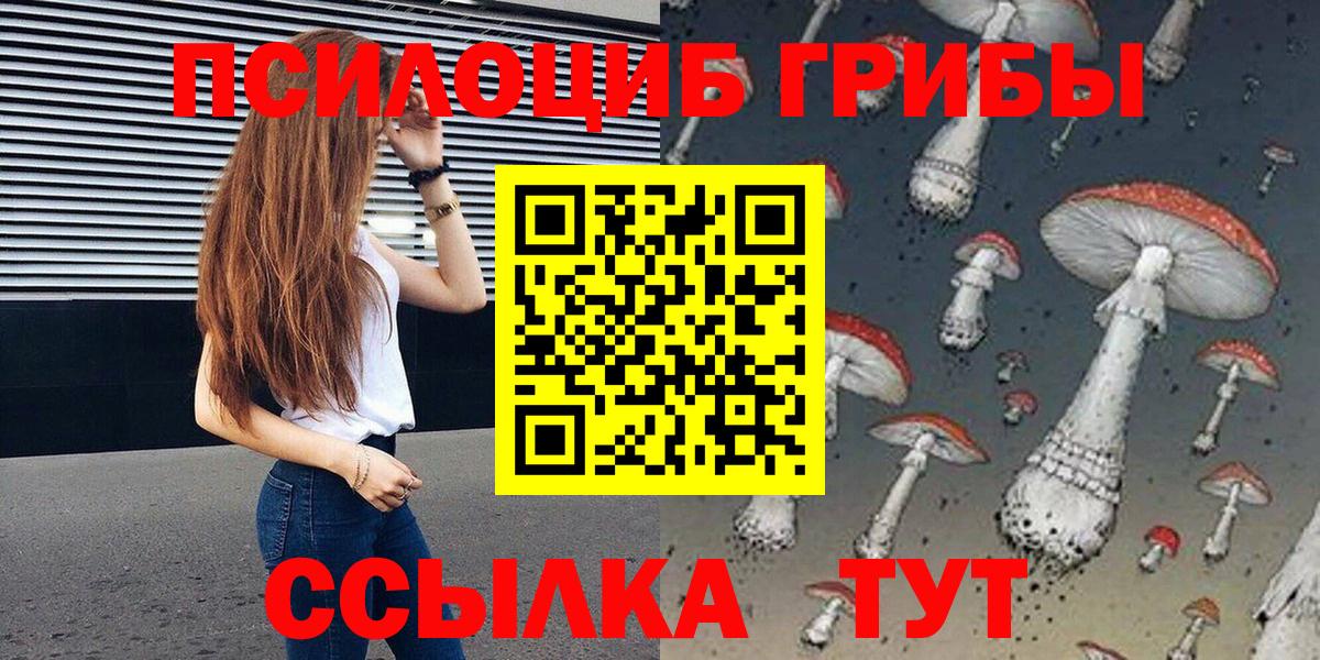 Галлюциногенные грибы Psilocybine cubensis  Псилоцибиновые грибы Cubensis  Вход с VPN  Апрелевка 